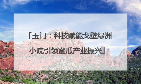玉门：科技赋能戈壁绿洲 小院引领蜜瓜产业振兴
