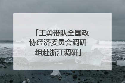 王勇带队全国政协经济委员会调研组赴浙江调研