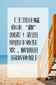 王哥庄喊你来“趣”割麦！麦田里的丰收狂欢，解锁田园新体验