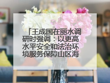 王成国在丽水调研时强调：以更高水平安全和法治环境服务保障山区海岛县高质量发展
