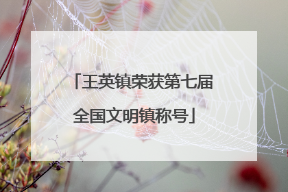 王英镇荣获第七届全国文明镇称号