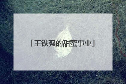 王铁强的甜蜜事业