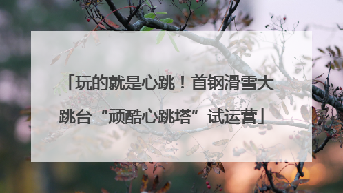 玩的就是心跳！首钢滑雪大跳台“顽酷心跳塔”试运营
