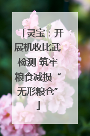 灵宝：开展机收比武检测 筑牢粮食减损“无形粮仓”
