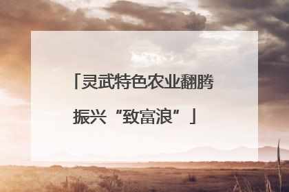 灵武特色农业翻腾振兴“致富浪”