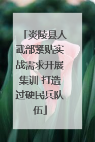 炎陵县人武部紧贴实战需求开展集训 打造过硬民兵队伍