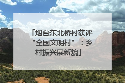 烟台东北桥村获评“全国文明村”：乡村振兴展新貌