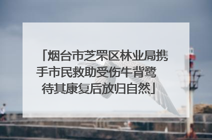 烟台市芝罘区林业局携手市民救助受伤牛背鹭 待其康复后放归自然