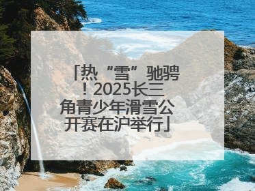 热“雪”驰骋！2025长三角青少年滑雪公开赛在沪举行
