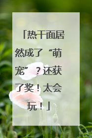 热干面居然成了“萌宠”？还获了奖！太会玩！