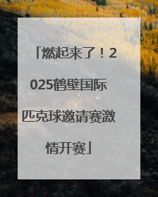 燃起来了！2025鹤壁国际匹克球邀请赛激情开赛