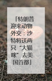 特朗普迎来动物外交：沙特将送两只“大猫咪”去美国首都