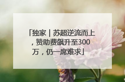 独家｜苏超逆流而上，赞助费飙升至300万，仍一席难求