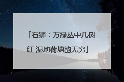 石狮：万绿丛中几树红 湿地荷塘韵无穷