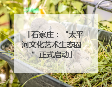 石家庄：“太平河文化艺术生态圈”正式启动