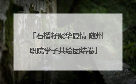 石榴籽聚华夏情 随州职院学子共绘团结卷