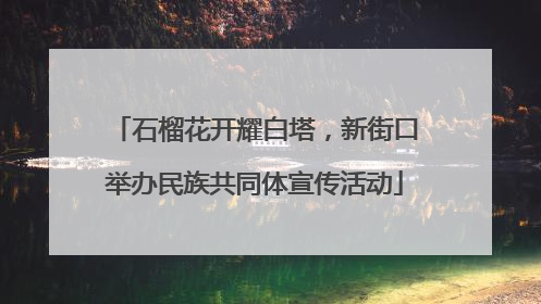 石榴花开耀白塔，新街口举办民族共同体宣传活动