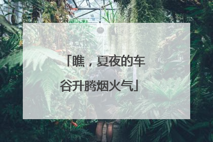 瞧，夏夜的车谷升腾烟火气