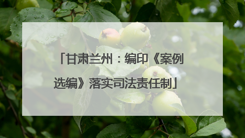 甘肃兰州：编印《案例选编》落实司法责任制