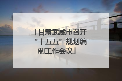 甘肃武威市召开“十五五”规划编制工作会议