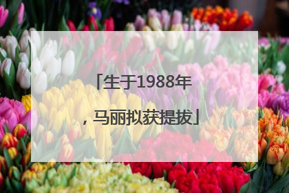生于1988年，马丽拟获提拔