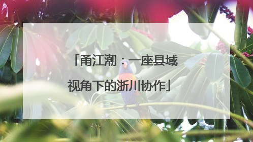 甬江潮：一座县域视角下的浙川协作