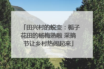 田兴村的蜕变：栀子花田的杨梅熟啦 采摘节让乡村热闹起来
