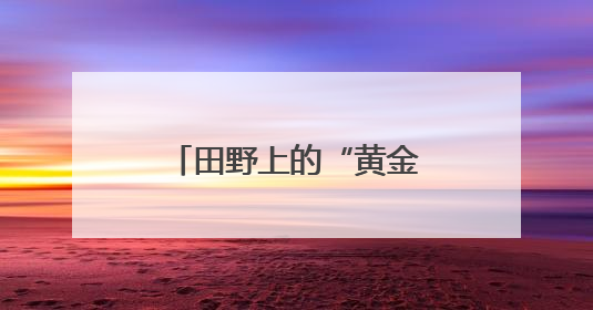 田野上的“黄金屋”丨二手书页浇出“精神绿洲”