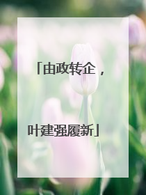 由政转企，叶建强履新