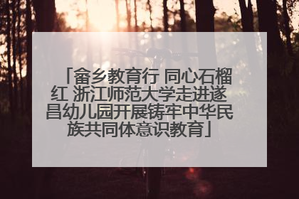 畲乡教育行 同心石榴红 浙江师范大学走进遂昌幼儿园开展铸牢中华民族共同体意识教育