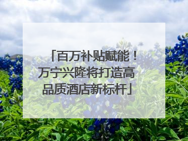 百万补贴赋能！万宁兴隆将打造高品质酒店新标杆
