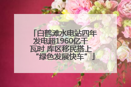 白鹤滩水电站四年发电超1960亿千瓦时 库区移民搭上“绿色发展快车”