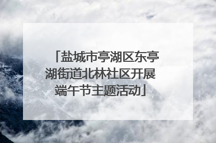 盐城市亭湖区东亭湖街道北林社区开展端午节主题活动