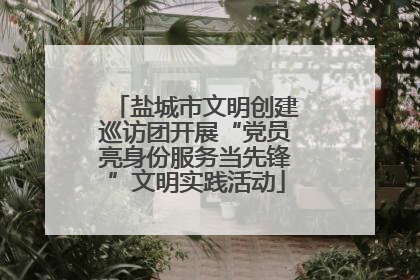 盐城市文明创建巡访团开展“党员亮身份服务当先锋”文明实践活动