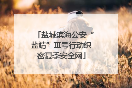 盐城滨海公安“盐靖”Ⅲ号行动织密夏季安全网