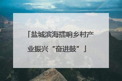 盐城滨海擂响乡村产业振兴“奋进鼓”