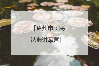 盘州市：民法典进军营
