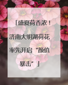 盛夏荷香浓！济南大明湖荷花率先开启“颜值暴击”