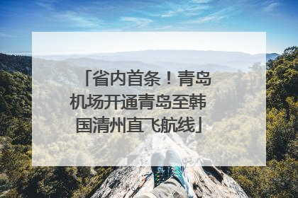 省内首条！青岛机场开通青岛至韩国清州直飞航线