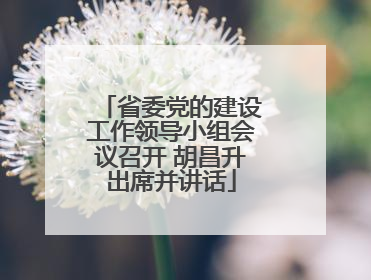 省委党的建设工作领导小组会议召开 胡昌升出席并讲话
