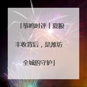 筝鸣时评丨夏粮丰收背后，是潍坊全城的守护