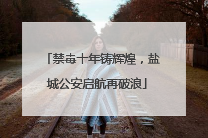 禁毒十年铸辉煌，盐城公安启航再破浪