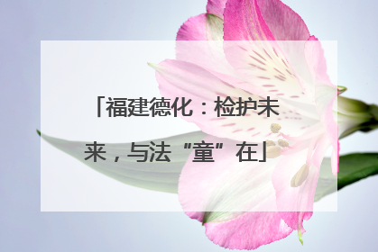 福建德化：检护未来，与法“童”在