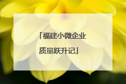 福建小微企业质量跃升记
