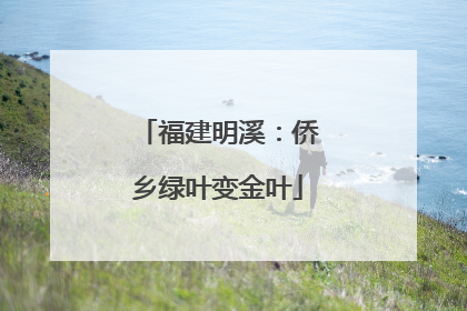 福建明溪：侨乡绿叶变金叶