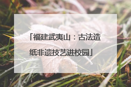 福建武夷山：古法造纸非遗技艺进校园