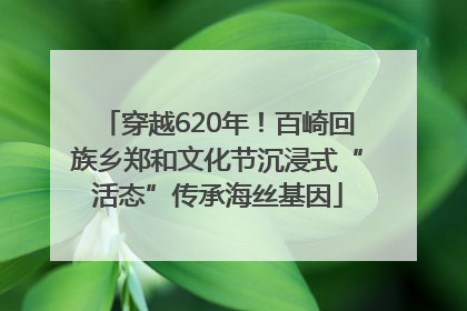 穿越620年！百崎回族乡郑和文化节沉浸式“活态”传承海丝基因