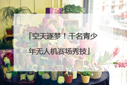 空天逐梦！千名青少年无人机赛场秀技