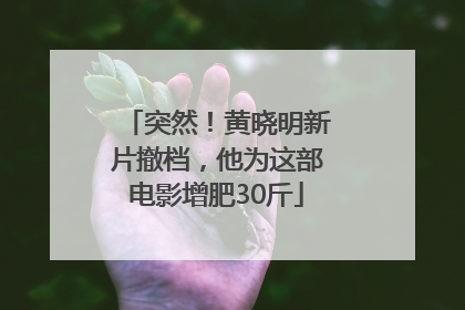 突然！黄晓明新片撤档，他为这部电影增肥30斤