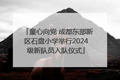 童心向党 成都东部新区石盘小学举行2024级新队员入队仪式